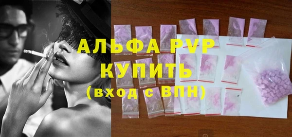 стафф Алексин