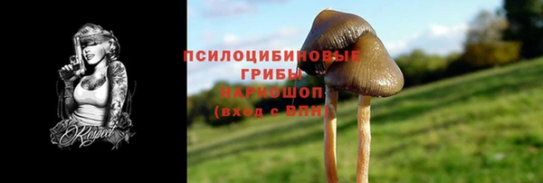 ГАЛЛЮЦИНОГЕННЫЕ ГРИБЫ Алексеевка