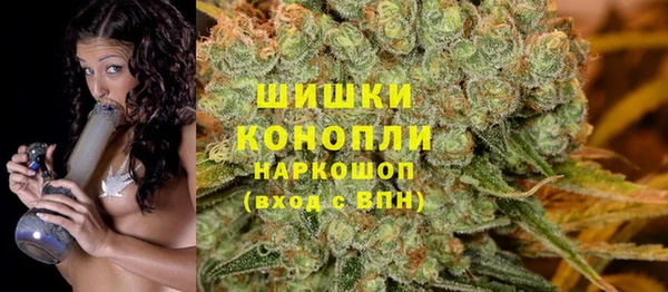 spice Алзамай