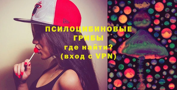 spice Алзамай