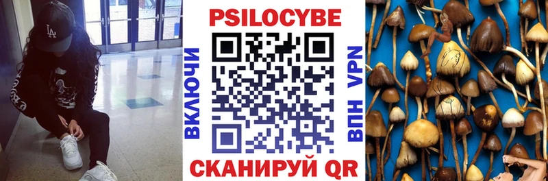 наркошоп Куса Псилоцибиновые грибы мицелий